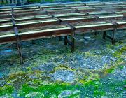 ���É���,����,������