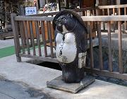 ���É���,�O����