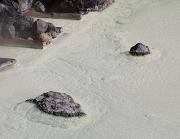 ���É���,�l�C�h