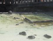 ���É���,���A�艷��